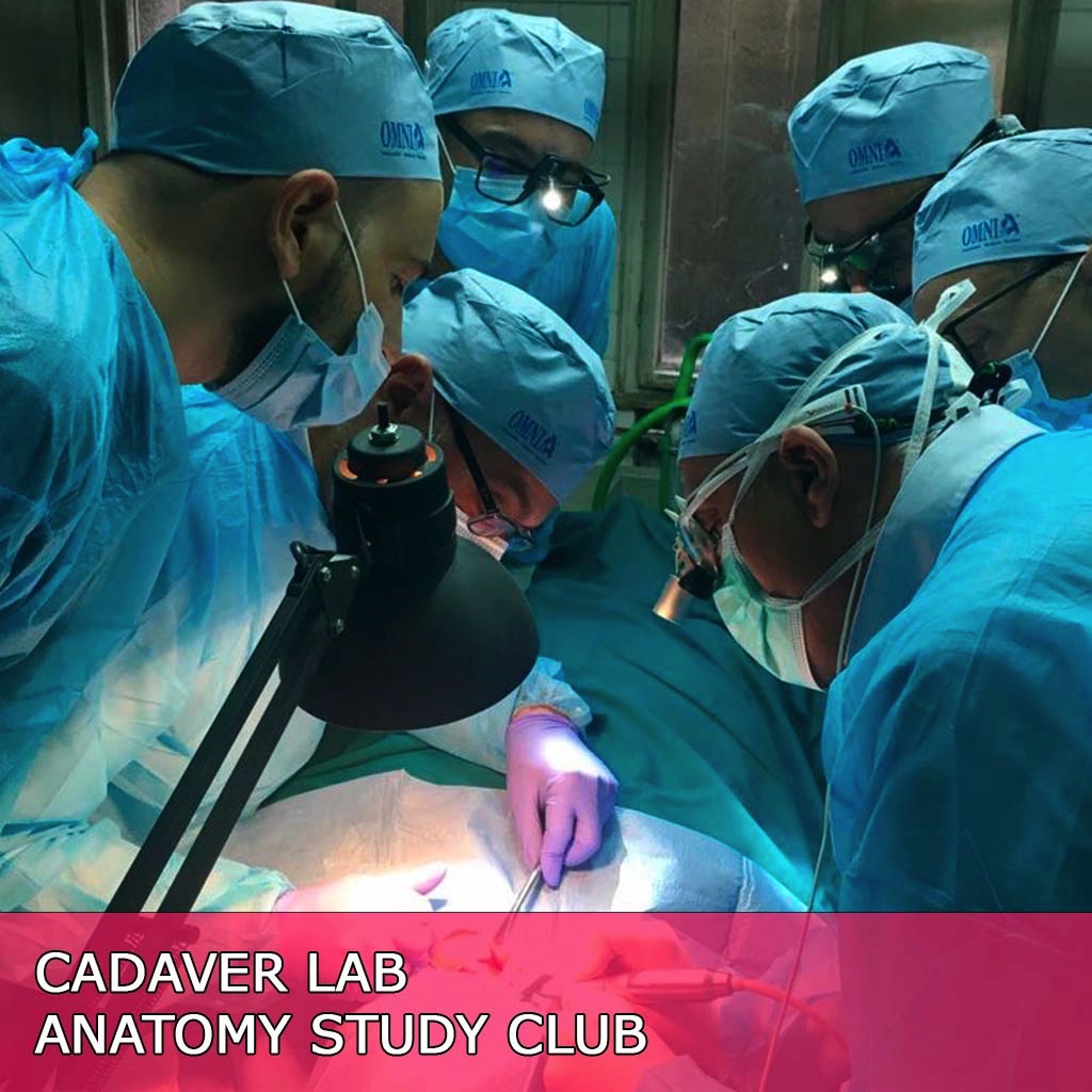 cadaver lab